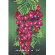 Схема для вышивки А4 бисером на габардине "Спелая гроздь"