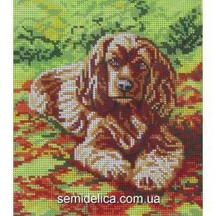 Схема для вышивки А4 бисером на габардине "Спаниель"