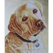 Схема для вышивки А4 бисером на габардине "Лабрадор"