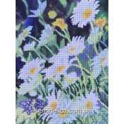 Схема для вышивки А4 бисером на габардине "Ромашки в поле"
