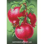 Схема для вышивки А4 бисером на габардине "Гранаты"