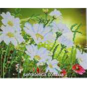 Схема для вышивки А4 бисером на габардине "Ромашки"